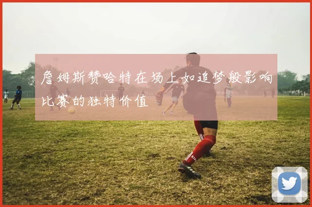 詹姆斯赞哈特在场上如追梦般影响比赛的独特价值